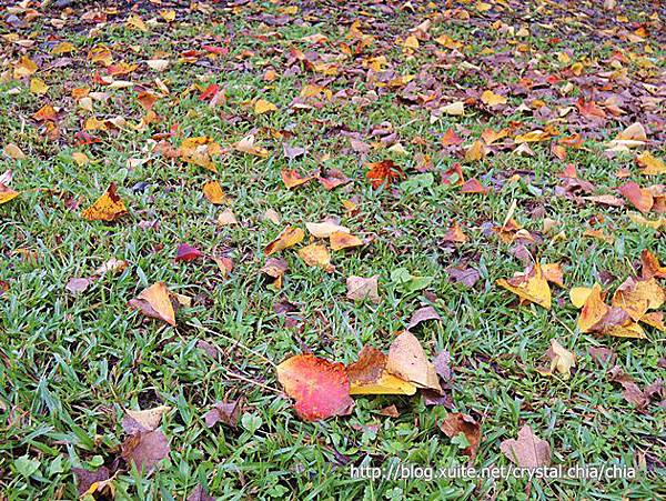 冬至‧羅東林場 (4)