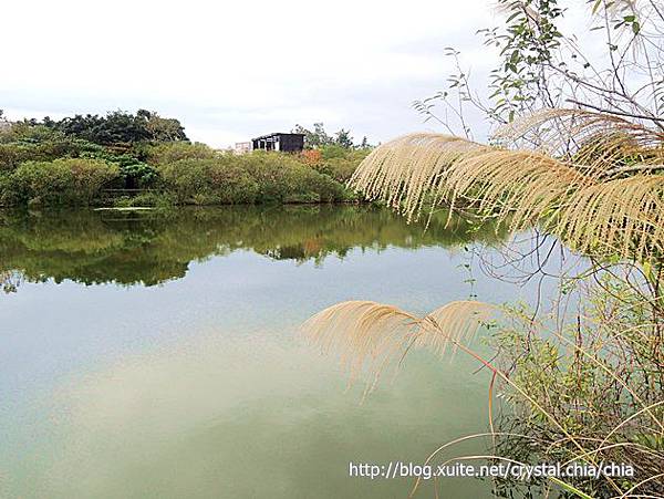 冬至‧羅東林場 (16)