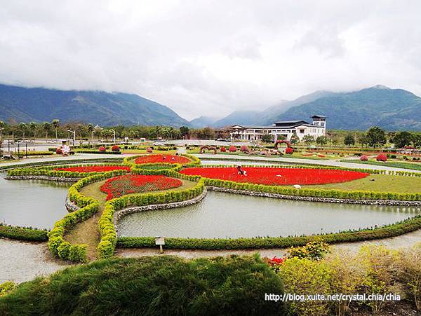 池上花海2014 (1)