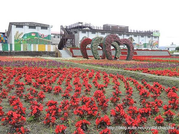 關山花海2014 (9)