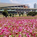 三重水漾公園