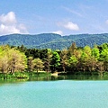 鳶尾花雲山水