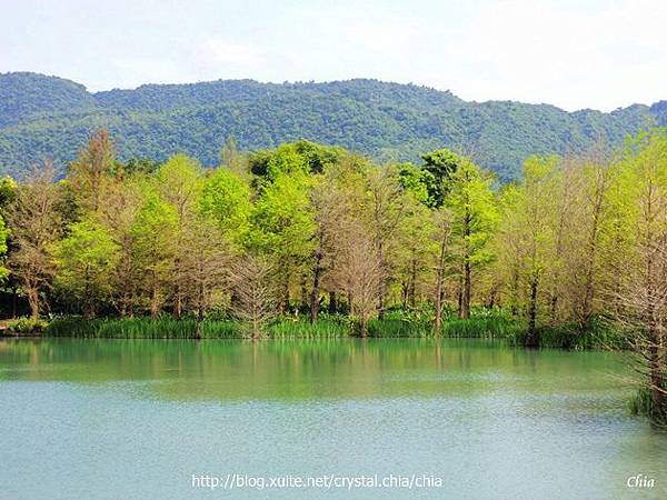 鳶尾花雲山水 (22).jpg