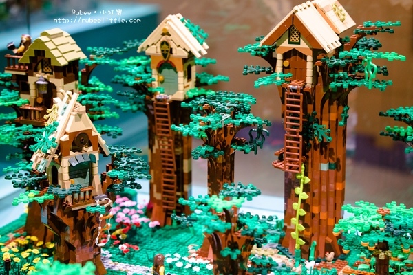 DSC09847-1.jpg DSC09847-1.jpg