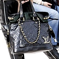 2009fall Louis Vuitton handbag