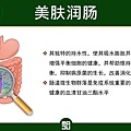 蘋果粉PPT_頁面_10.jpg