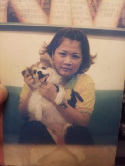 20181023_152450.jpg 20181023_152450.jpg