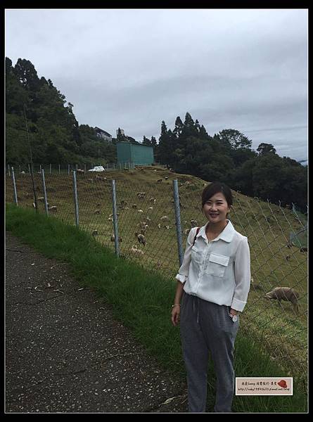 S__32940037.jpg S__32940037.jpg