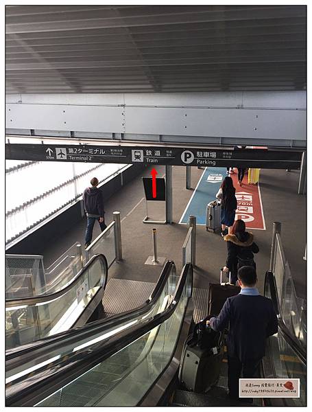 IMG_9207.JPG IMG_9207.JPG