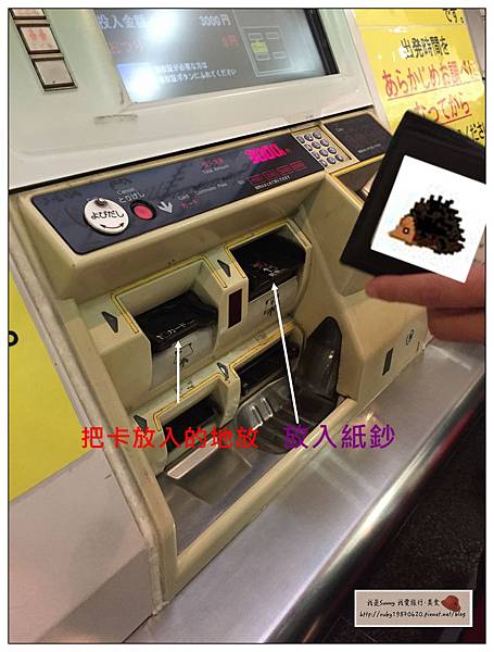 IMG_9217.JPG IMG_9217.JPG