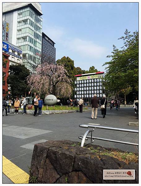 IMG_9239.JPG IMG_9239.JPG