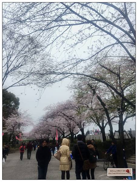 IMG_9291.JPG IMG_9291.JPG