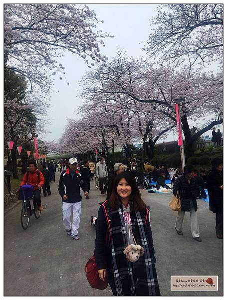 IMG_9294.JPG IMG_9294.JPG