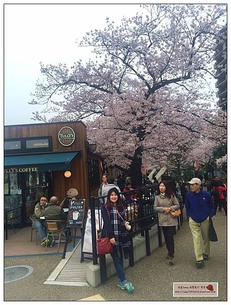 IMG_9302.JPG IMG_9302.JPG