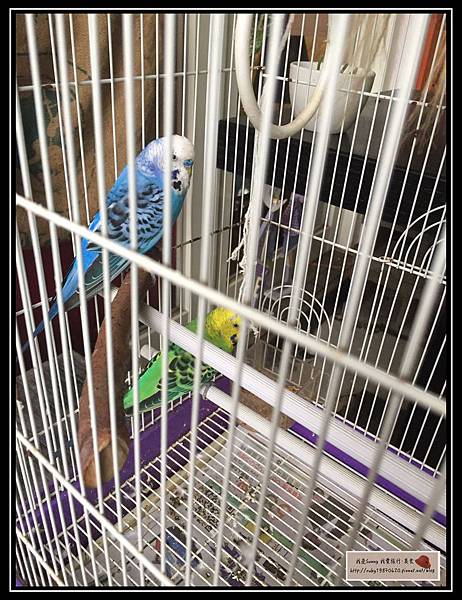 20160522_4542.jpg 20160522_4542.jpg