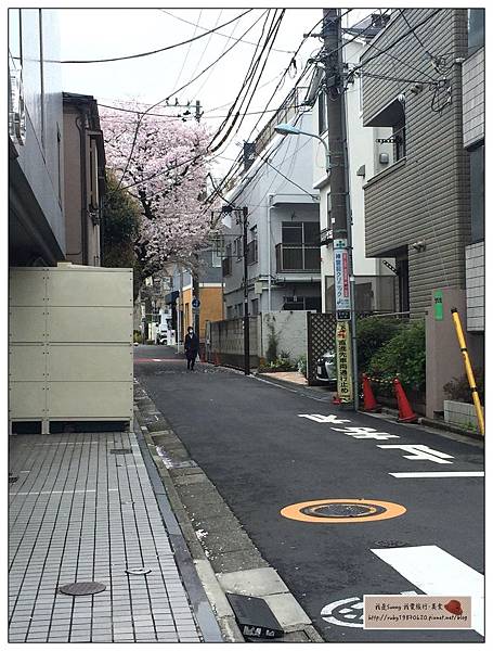 IMG_9765.JPG IMG_9765.JPG