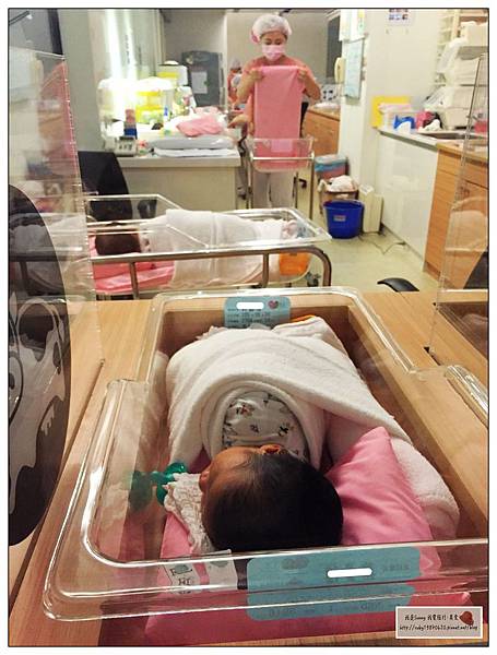 IMG_2516.jpg IMG_2516.jpg