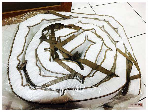 IMG_5010 (已編輯).JPG IMG_5010 (已編輯).JPG