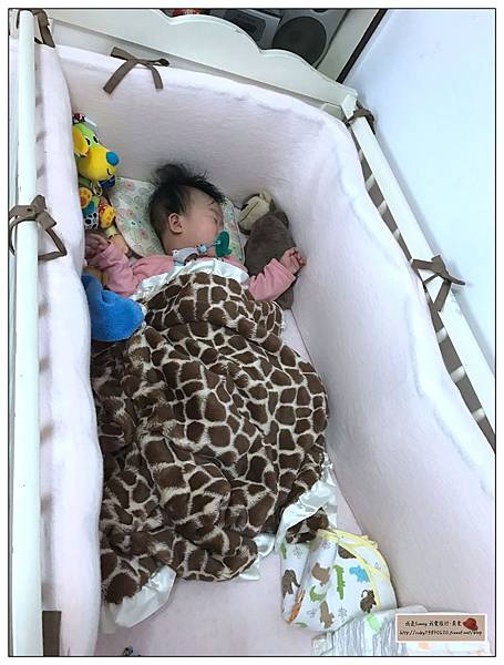 IMG_6405.JPG IMG_6405.JPG