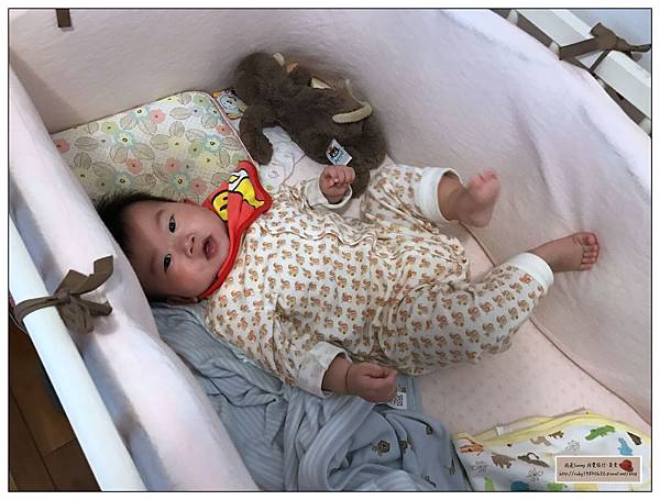 IMG_7667.JPG IMG_7667.JPG