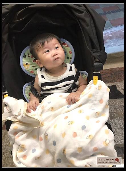 20170620_170620_0032.jpg 20170620_170620_0032.jpg