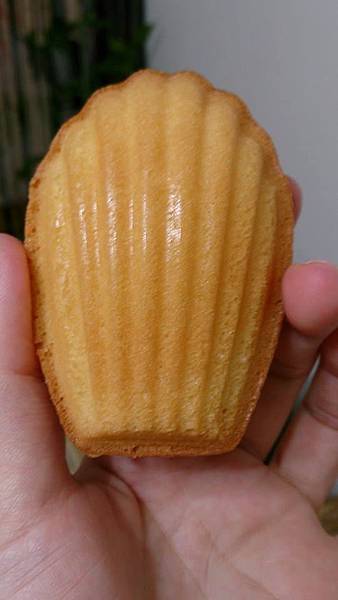 12212547_10153707742969666_600473609_n