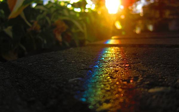 stairs-rainbow-colors-plants-sunshine-wide-hd-wallpaper