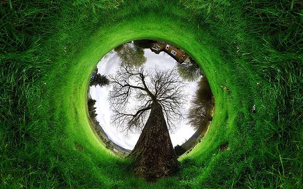 trees_grass_fisheye_effect_photomanipulation_desktop_2560x1600_hd-wallpaper-1087393