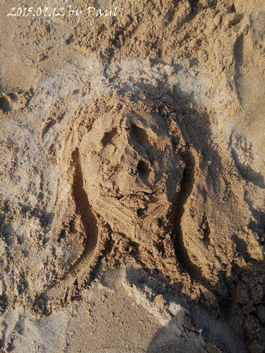 2015-09-12-福隆舊草嶺-06