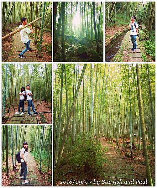 1_孟宗竹林.jpg 1_孟宗竹林.jpg