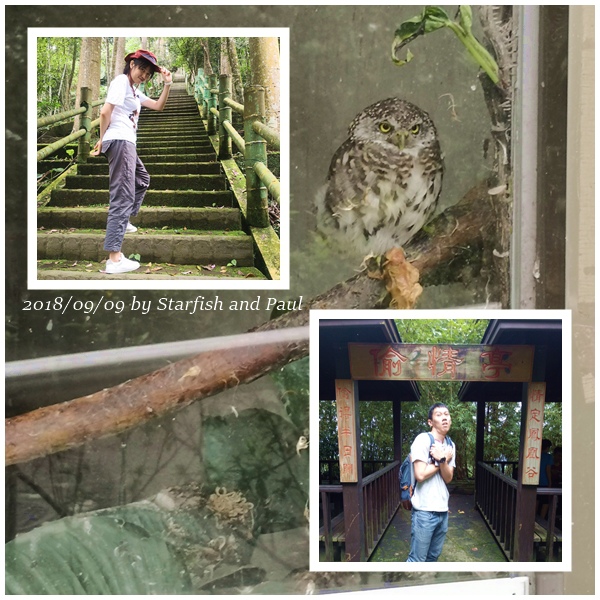 7_鳳凰谷鳥園.jpg 7_鳳凰谷鳥園.jpg