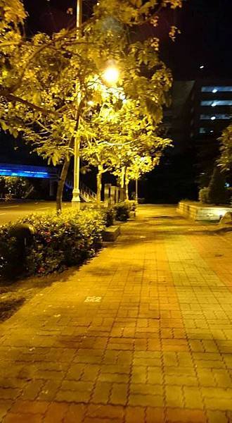 11391092_10152831034566401_5214495638803036245_n.jpg 11391092_10152831034566401_5214495638803036245_n.jpg