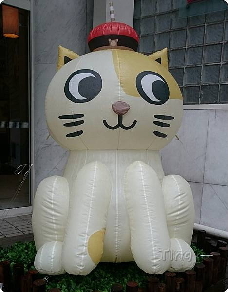 PhotoGrid_1447870413283.jpg PhotoGrid_1447870413283.jpg