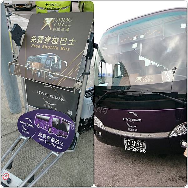 PhotoGrid_1449125460249.jpg PhotoGrid_1449125460249.jpg