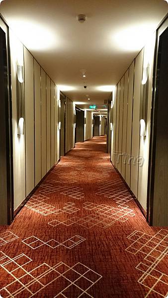 PhotoGrid_1449179956535.jpg PhotoGrid_1449179956535.jpg