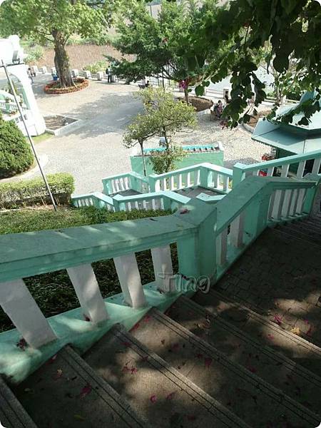 PhotoGrid_1449433157833.jpg PhotoGrid_1449433157833.jpg