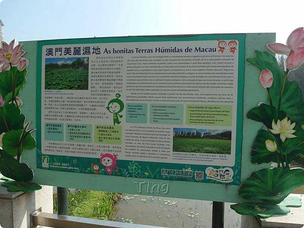 PhotoGrid_1449439113759.jpg PhotoGrid_1449439113759.jpg