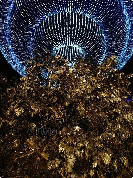 12322740_10153132201146401_1406418391812589644_o.jpg 12322740_10153132201146401_1406418391812589644_o.jpg