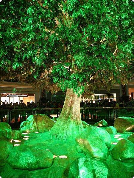 12357128_10153132201306401_3739901434550275426_o.jpg 12357128_10153132201306401_3739901434550275426_o.jpg