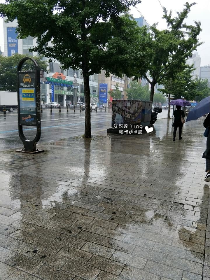 6/5 釜山下雨天