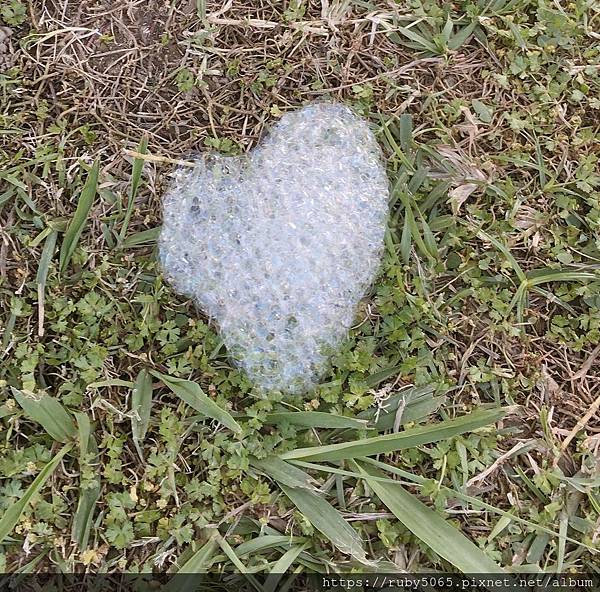 IMG_0282.JPG IMG_0282.JPG