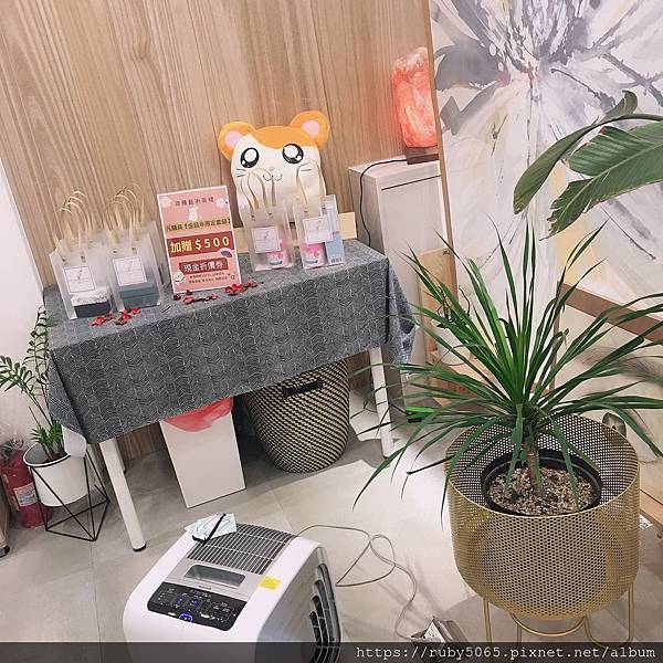 IMG_1374.JPG IMG_1374.JPG