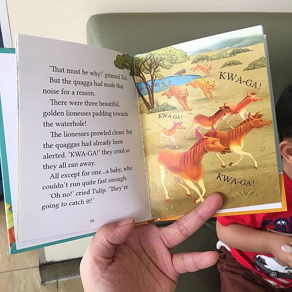 IMG_1737.JPG IMG_1737.JPG