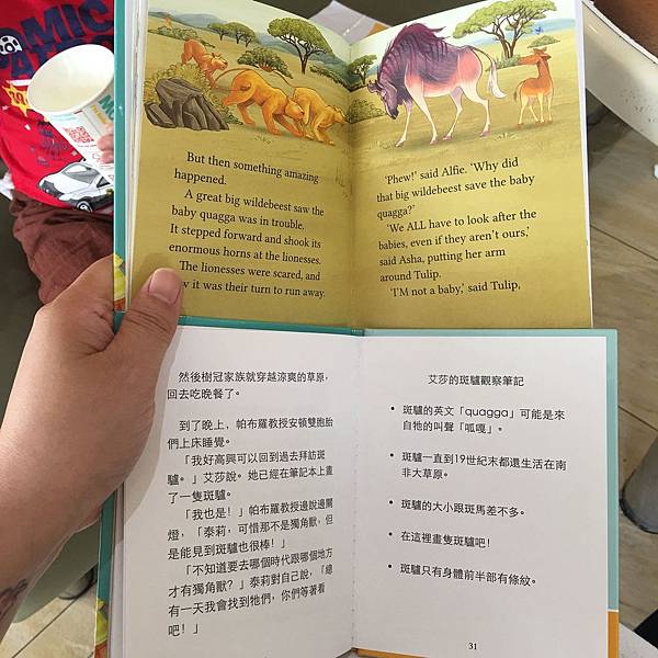 IMG_1740.JPG IMG_1740.JPG