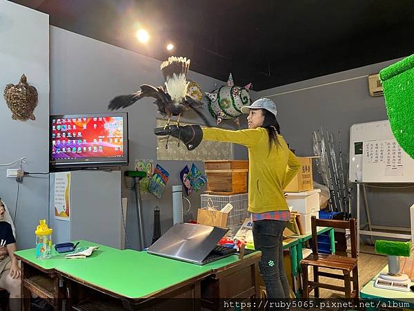 小小訓鷹師_210418_3.jpg 小小訓鷹師_210418_3.jpg