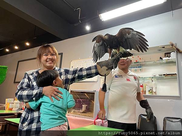 小小訓鷹師_210418_2.jpg 小小訓鷹師_210418_2.jpg
