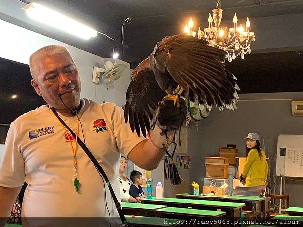 小小訓鷹師_210418_12.jpg 小小訓鷹師_210418_12.jpg