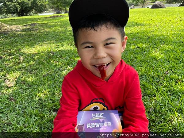 葉黃素_210421_0.jpg 葉黃素_210421_0.jpg