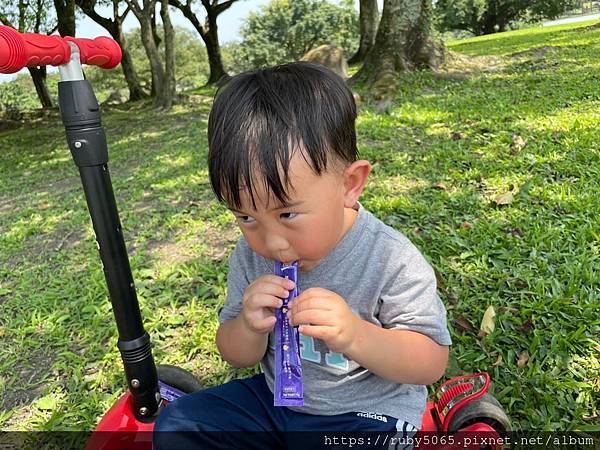 葉黃素_210421_1.jpg 葉黃素_210421_1.jpg