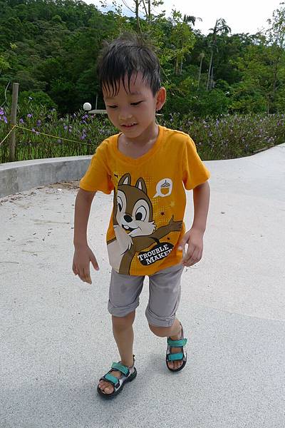 P1220370.JPG P1220370.JPG